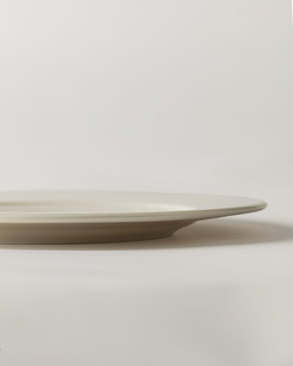 New Bone China Elegant Pasta Plate - Sophisticated Nuit Design - TryAladdin