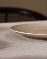 New Bone China Vole Pasta Plate - Modern Everyday Elegance - TryAladdin
