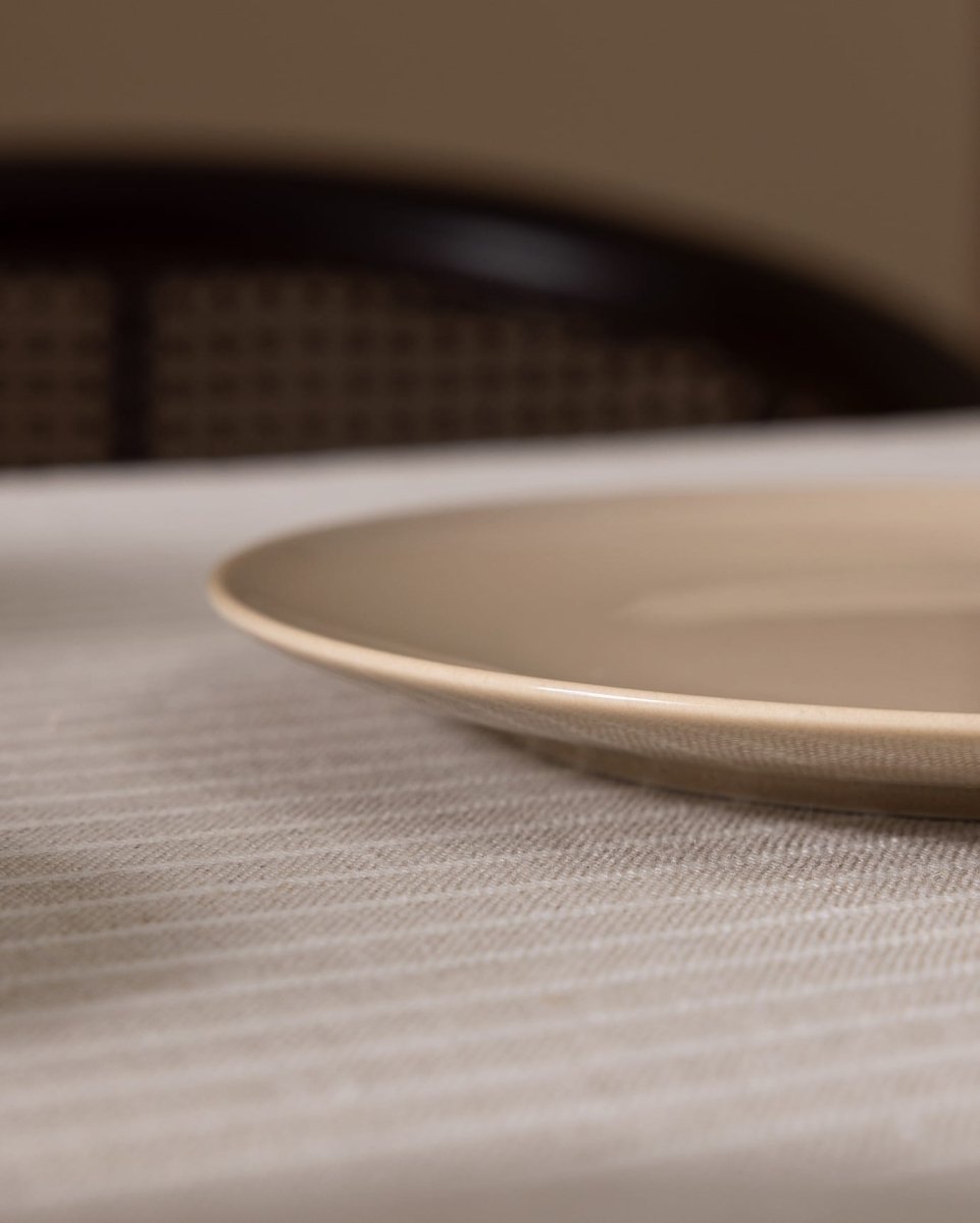 New Bone China Vole Pasta Plate - Modern Everyday Elegance - TryAladdin