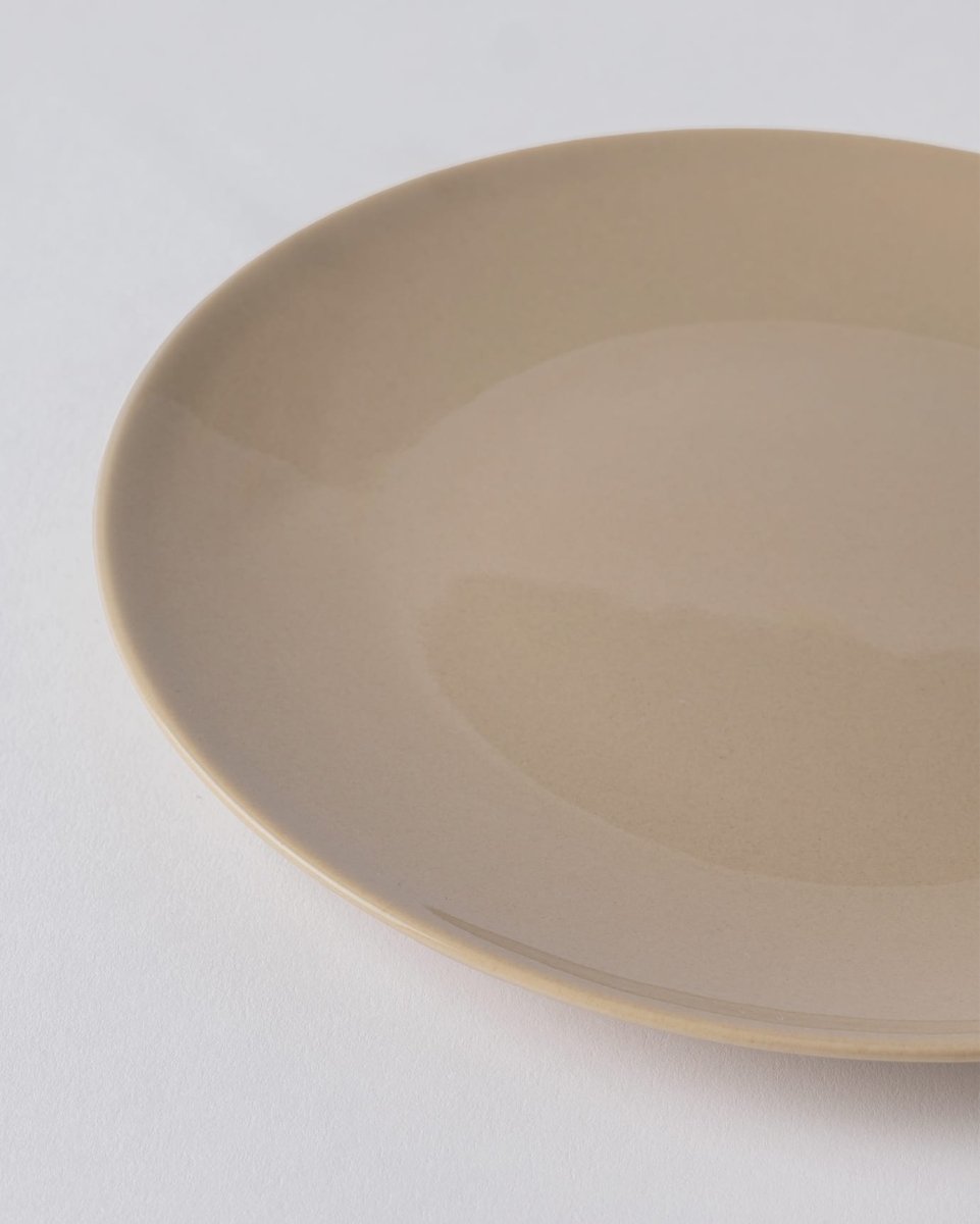 New Bone China Vole Pasta Plate - Modern Everyday Elegance - TryAladdin
