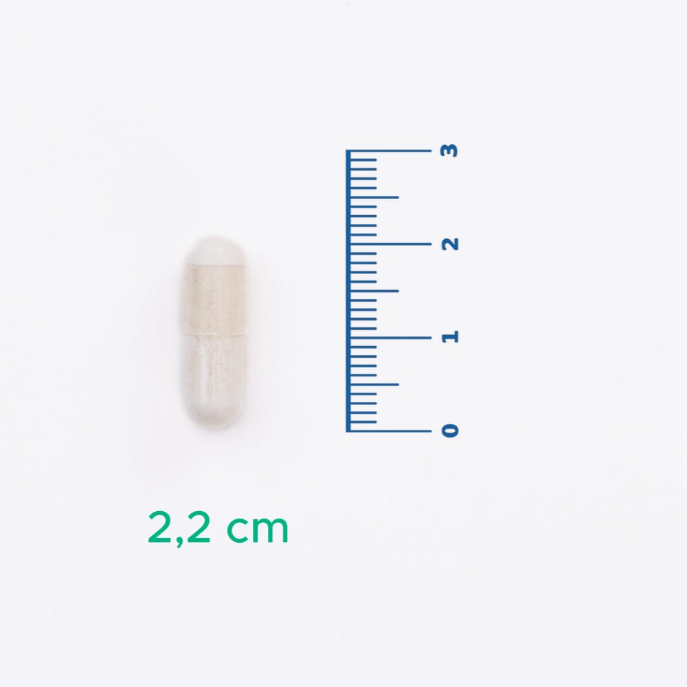 Nicotinamide Riboside - Advanced Cellular Support Capsules - TryAladdin