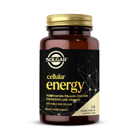 Nicotinamide Riboside & B Vitamins - Cellular Energy Support Vegetable Capsules - TryAladdin