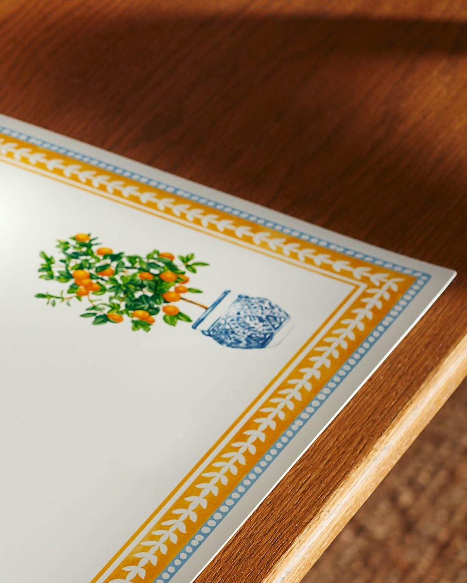 Oranger Print Placemat - Washable Dining Table Mat - TryAladdin