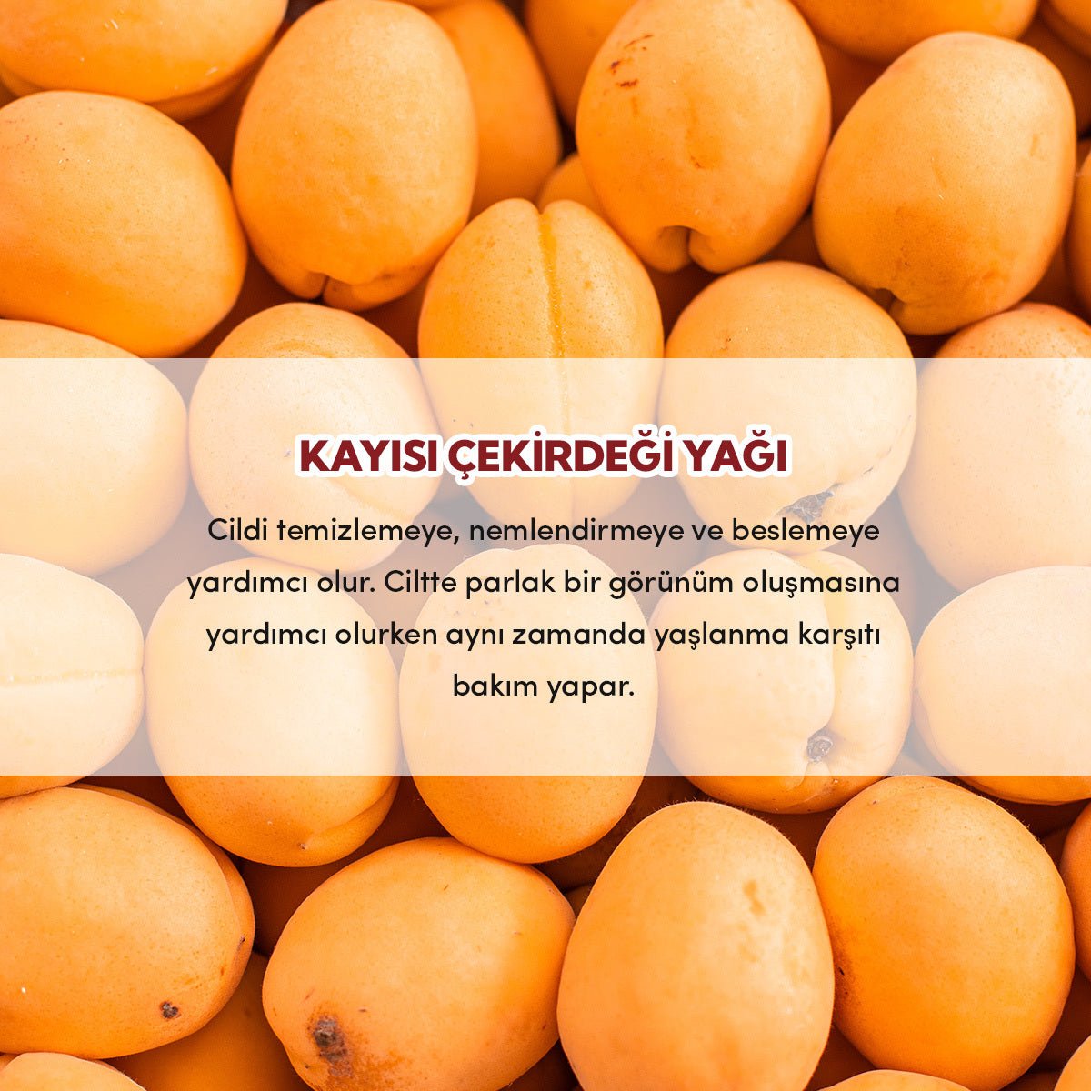 Organic Cold - Pressed Apricot Kernel Oil - Hydrating & Nourishing Multi - Purpose Oil - TryAladdin