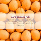 Organic Cold - Pressed Apricot Kernel Oil - Hydrating & Nourishing Multi - Purpose Oil - TryAladdin