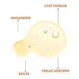 Organic Cold - Pressed Apricot Kernel Oil - Hydrating & Nourishing Multi - Purpose Oil - TryAladdin