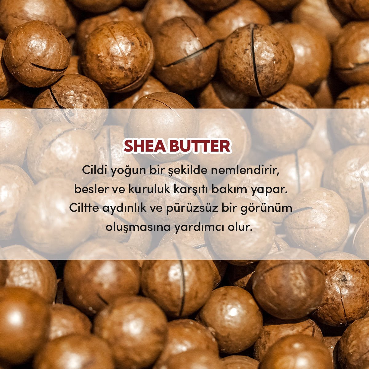 Organic Pure Shea Butter - Intense Hydration & Anti - Aging Balm - TryAladdin