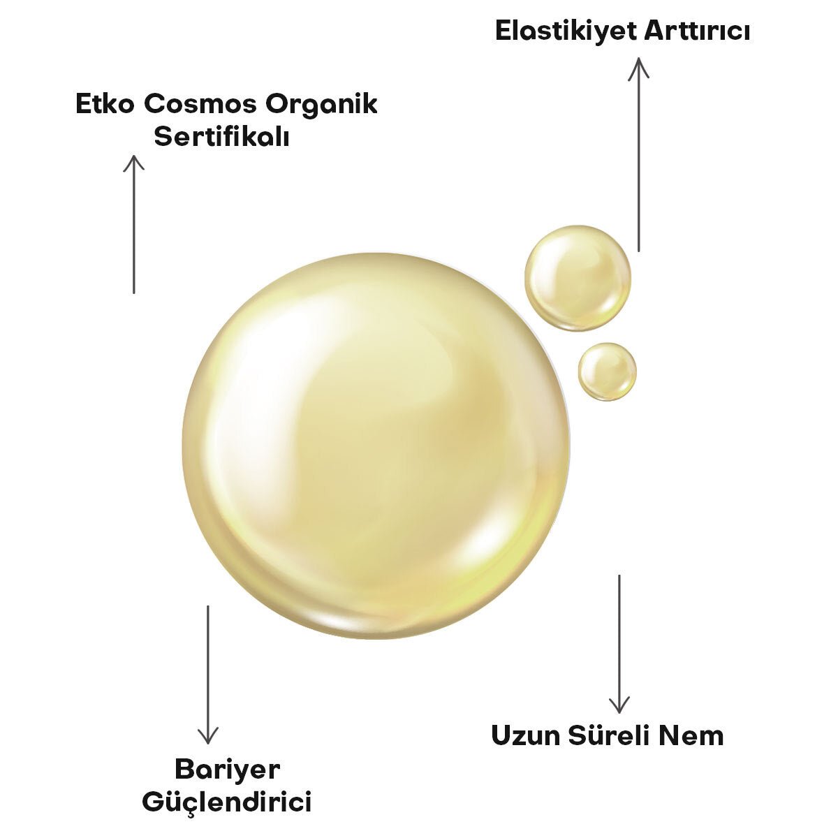 Organic Skin Elasticity & Stretch Mark Oil - Hydrating & Barrier Strengthening - TryAladdin