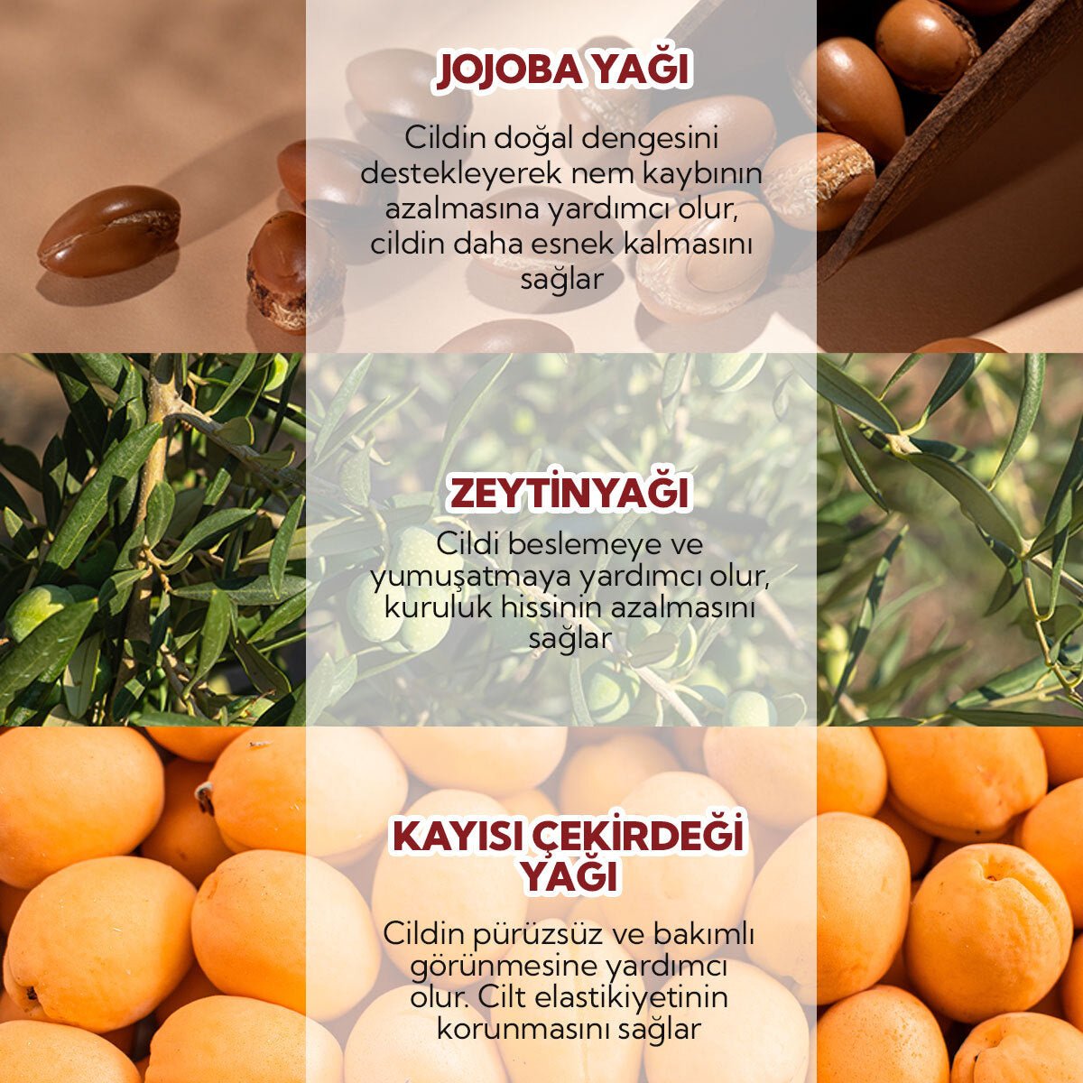 Organic Skin Elasticity & Stretch Mark Oil - Hydrating & Barrier Strengthening - TryAladdin