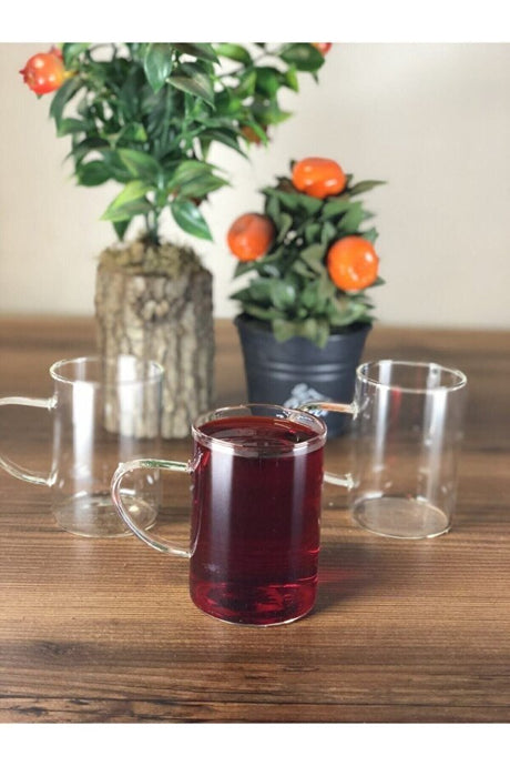 Paci Professional Borosilicate Heat Resistant Glass Mug Set - 6 Pieces - TryAladdin