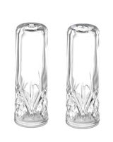 Elegant Glass Salt Pepper Shaker Set