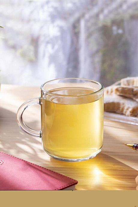 Pasabahce Iconic Professional Glass Mug Set - 6 x 245ml - TryAladdin