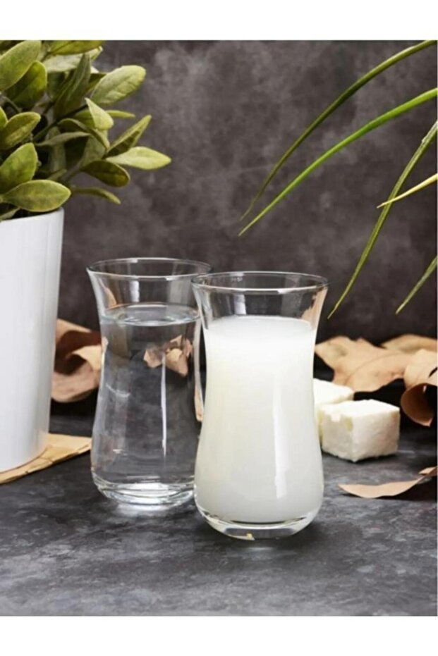 Pasabahce Professional Versatile Turkish Tea & Raki Glass Set - 6 x 120cc - TryAladdin
