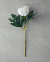 Premium Single Stem White Peony Artificial Flower