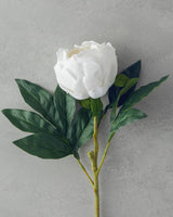 Premium Single Stem White Peony Artificial Flower