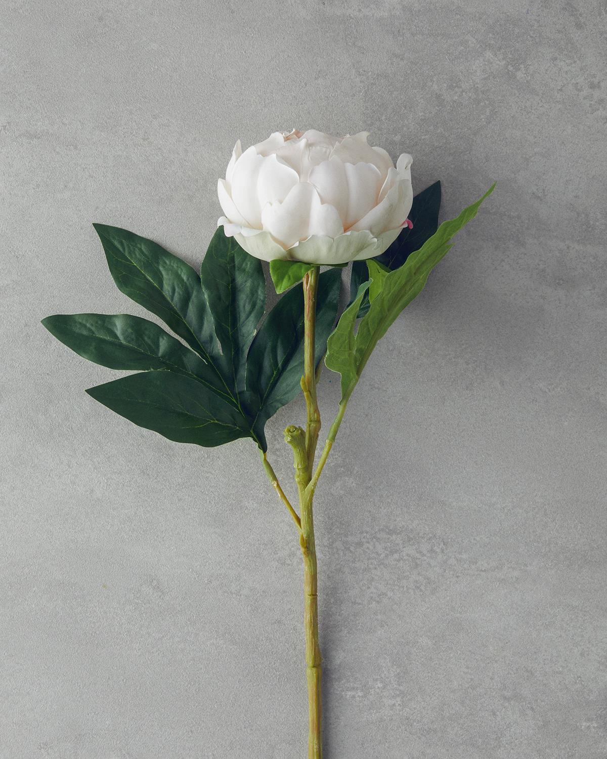 Peony Artificial Flower Single Stem Champagne Color