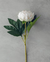 Peony Artificial Flower Single Stem Champagne Color