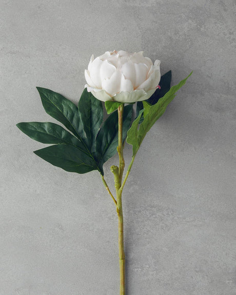Peony Artificial Flower Single Stem Champagne Color