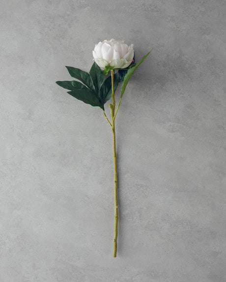 Peony Artificial Flower Single Stem Champagne Color