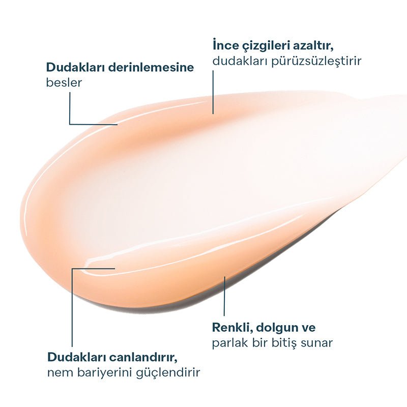 Peptide & Shea Butter Lip Treatment - Hydrating & Smoothing Vanilla Caramel - TryAladdin