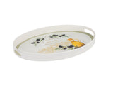 Plastic Oval Serving Tray - Everyday Elegance - TryAladdin
