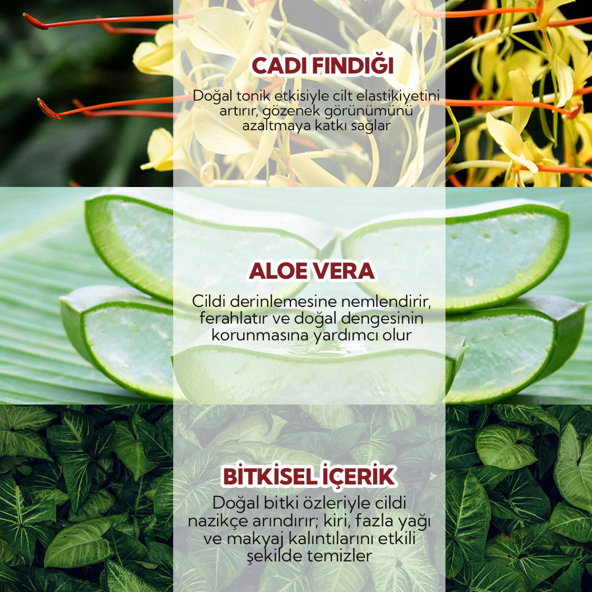 Pore - Refining & Tone - Balancing Prebiotic Tonic with Witch Hazel & Aloe Vera - TryAladdin