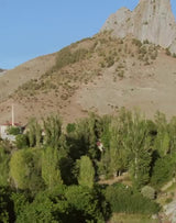 Premium Artvin Mulberry Fruit Leather - All Natural & Glucose - Free - 250g - TryAladdin