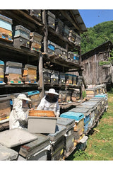 Premium Artvin Murgul Rhododendron Mad Honey (Deli Bal) - 1kg - TryAladdin