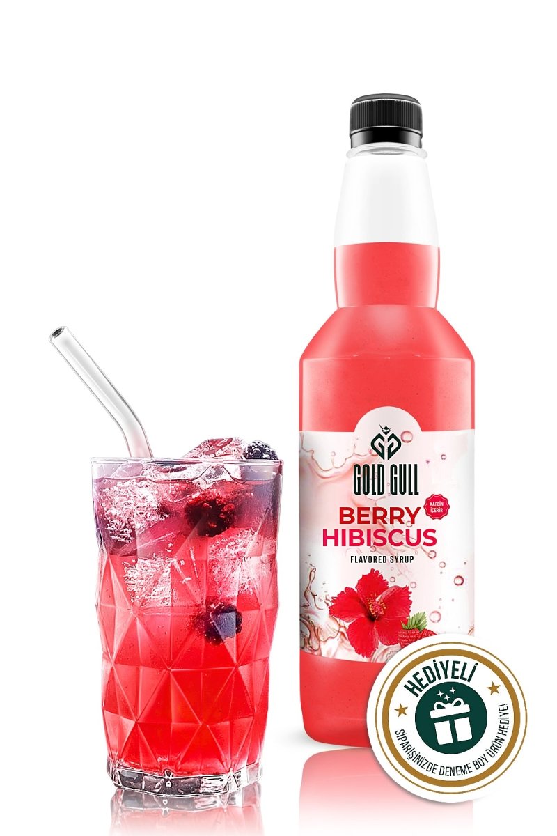 Premium Berry Hibiscus Concentrate Syrup Base - TryAladdin