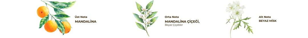 Premium Bodrum Tangerine Cologne Spray - 16ml - TryAladdin