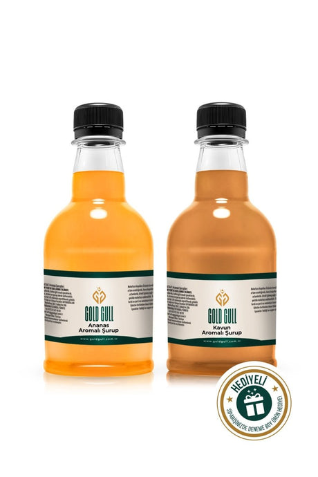 Premium Pineapple & Melon Coffee & Fruit Syrup - 2 x 300ml - TryAladdin