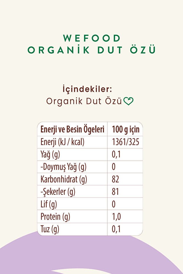 Premium Wefood Organic Cold Pressed Mulberry Extract - 315g - TryAladdin