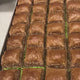 Asi | Pistazien-Schokoladen-Baklava in Geschenk-Metallbox