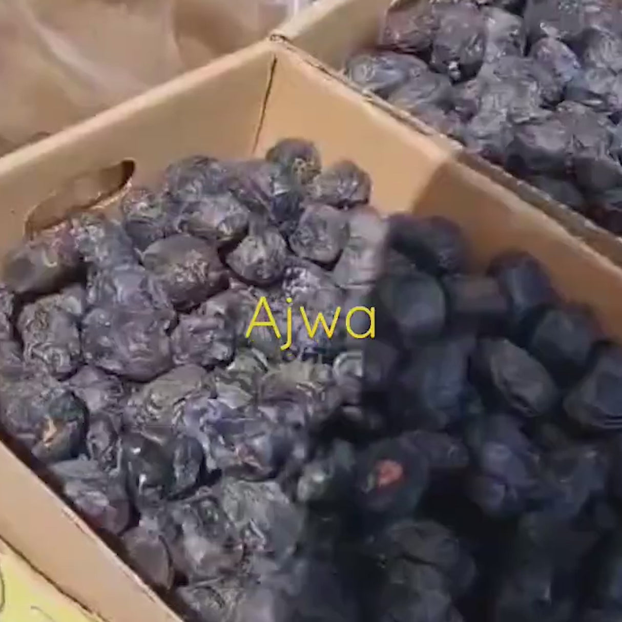 Medina Mabroum und Ajwa-Datteln