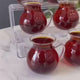 Rossel Premium Professional Turkish Tea Glasses - 6 Pieces Set