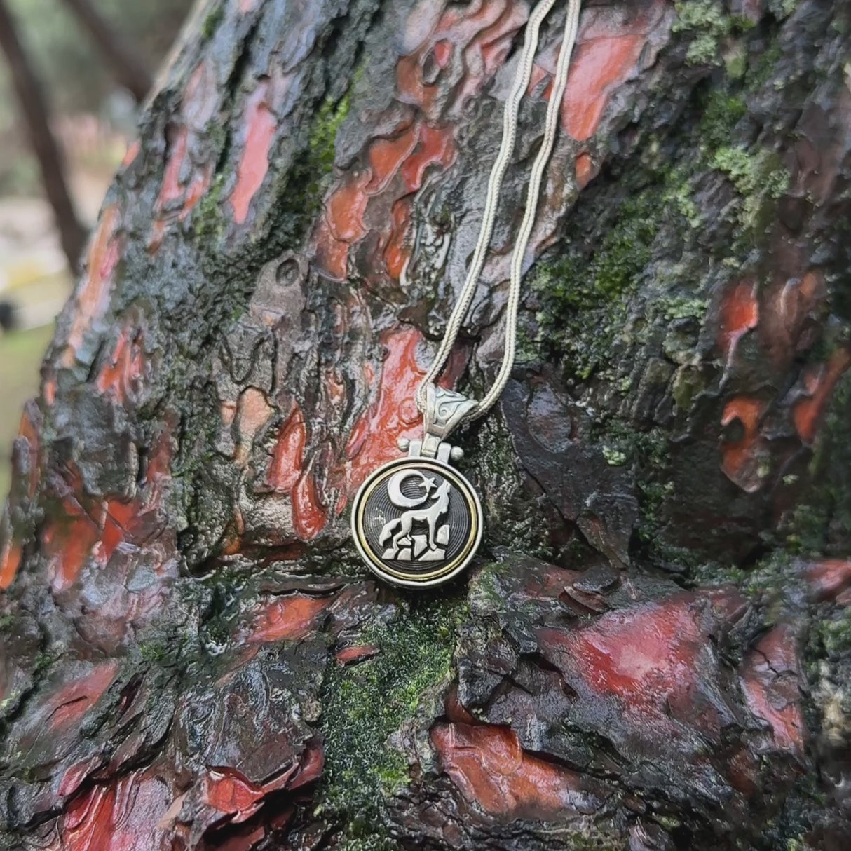 Halskette aus Sterlingsilber mit drehendem Halbmond- und Wolfsymbol