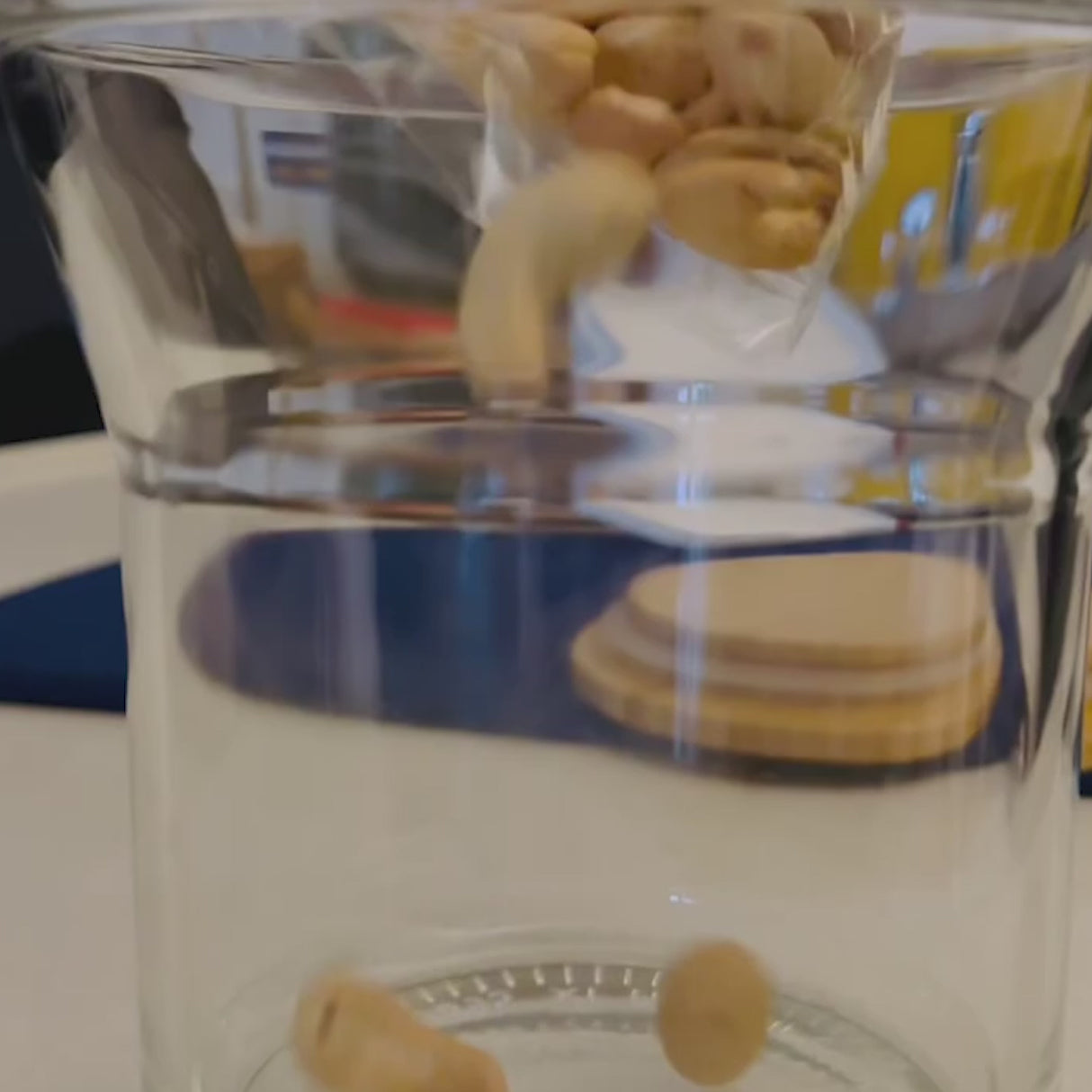 Serde | Deluxe XL Shelled Cashew (Jumbo)