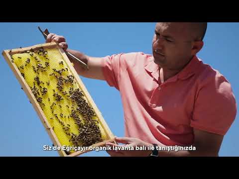 Egricayir | Organic Lavender Honey