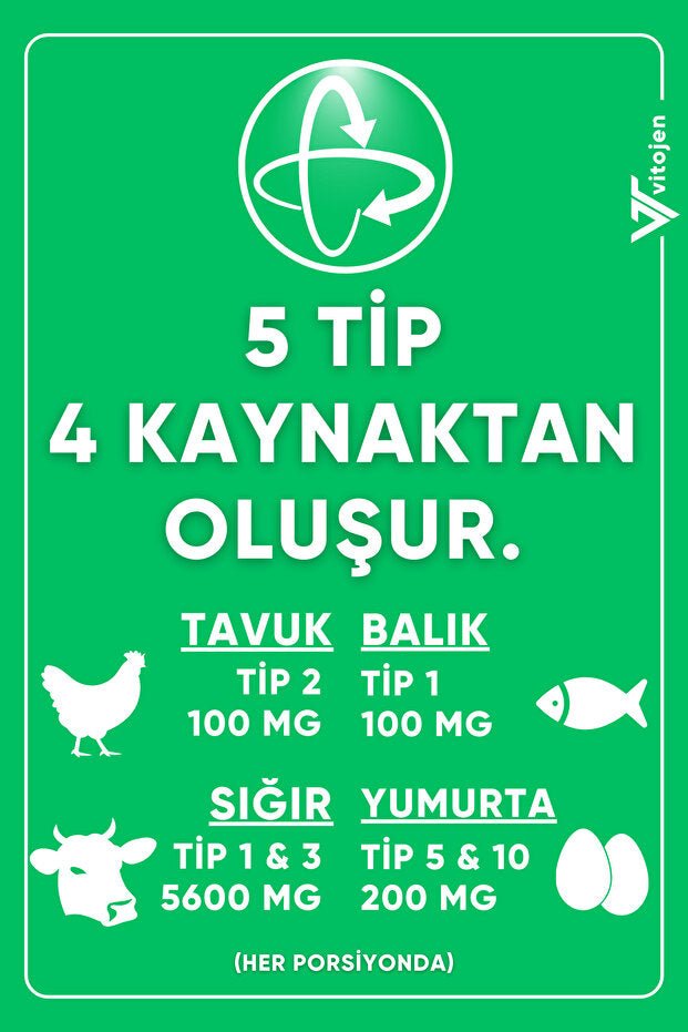 Pro10 Collagen + 10 Billion Probiotic Powder - 5 Types - TryAladdin