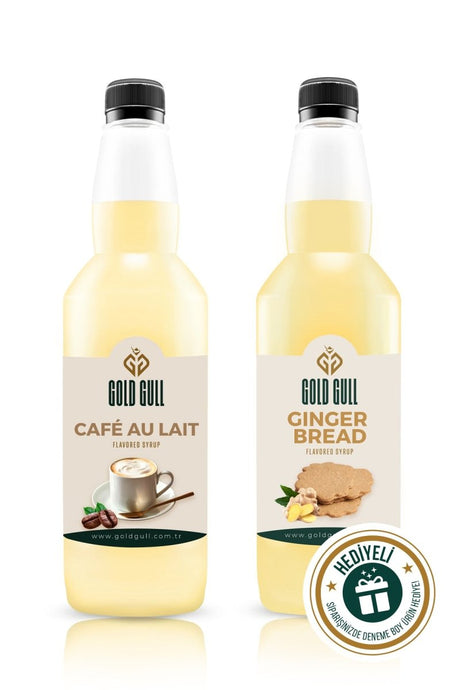 Professional Cafe Au Lait & Gingerbread Coffee & Fruit Syrup Concentrate - 2 x 700ml - TryAladdin