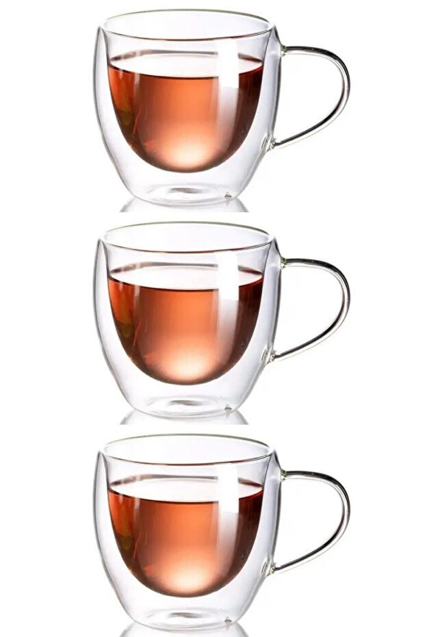Professional Double Wall Insulated Glass Mugs with Handle - 3 - Pack x 250ml - TryAladdin