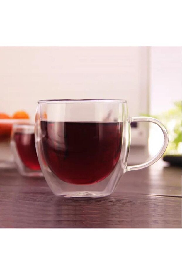 Professional Double Wall Insulated Glass Mugs with Handle - 3 - Pack x 250ml - TryAladdin
