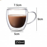 Professional Double Wall Insulated Glass Mugs with Handles - 2 x 250ml Set - TryAladdin