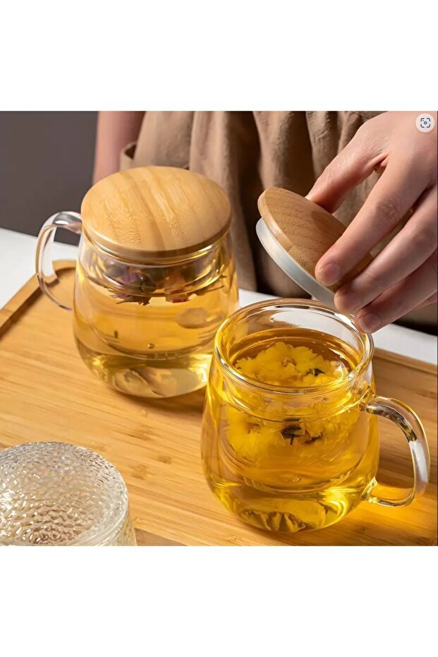 Professional Grade Borosilicate Glass Tea Infuser Mug with Bamboo Lid - 350ml - TryAladdin
