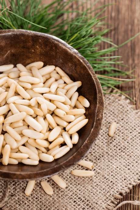 Professional Grade Pine Nuts - Bergamot Aroma - TryAladdin