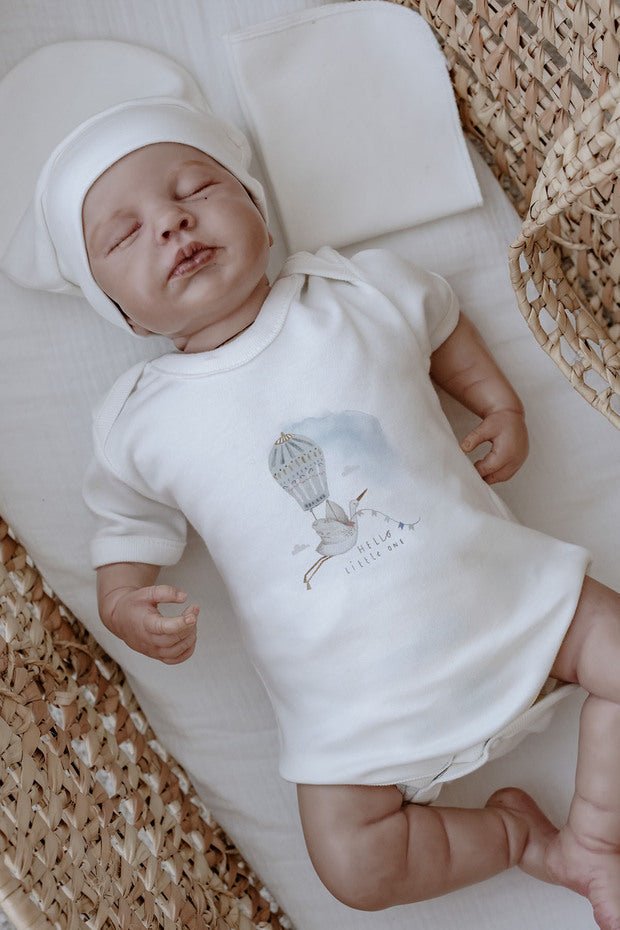 Professional Organic 11 - Piece Newborn Welcome Gift Set - Royal Series - TryAladdin