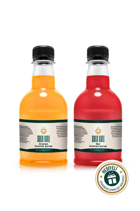 Professional Pineapple Pomegranate Coffee & Fruit Syrup Concentrate - 2 x 300ml - TryAladdin