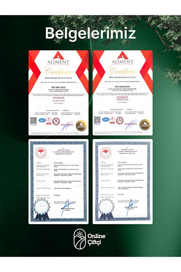 Professional Roasted Siirt Pistachios - 1 Kg - TryAladdin