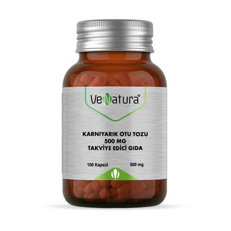 Psyllium Husk - Premium Daily Dietary Supplement Capsules - TryAladdin