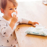 Pure Water Baby Wipes - Gentle Full Body Cleansing - TryAladdin